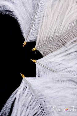 Ciondolo testa di struzzo - 17-20 cm - bianco-crema